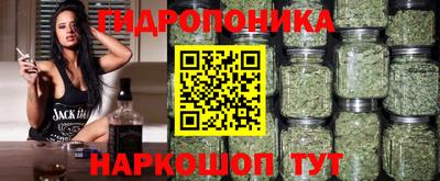 МДПВ Пенза