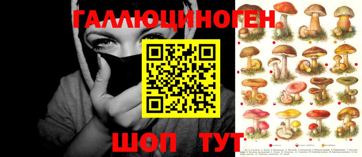 Псилоцибиновые грибы Magic Shrooms  Псилоцибиновые грибы Psilocybe  Прокопьевск  купить наркоту  Вход с VPN 