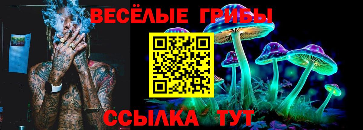 Галлюциногенные грибы Psilocybe Прокопьевск